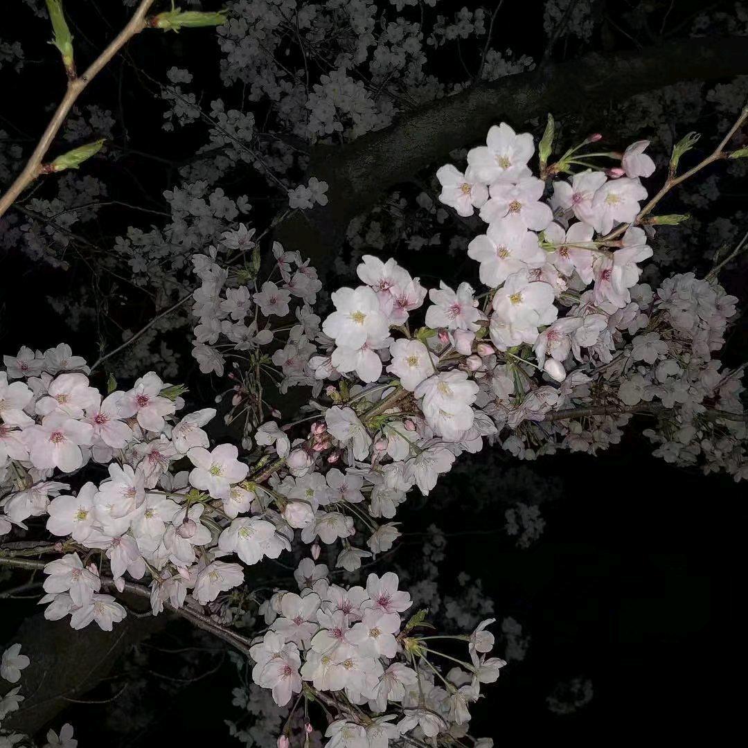阿通