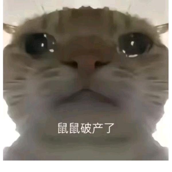 州州