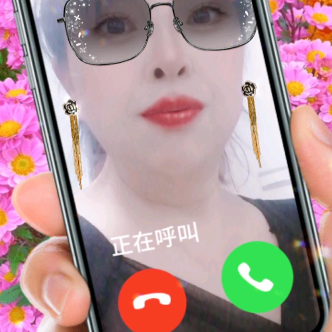 九月菊花
