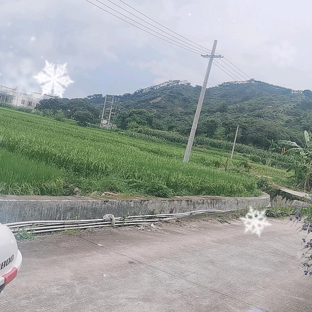 liang孟