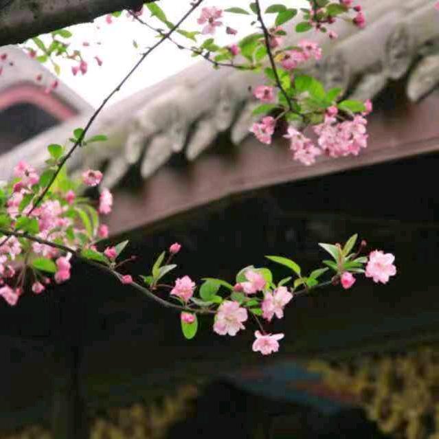 有缘相聚
