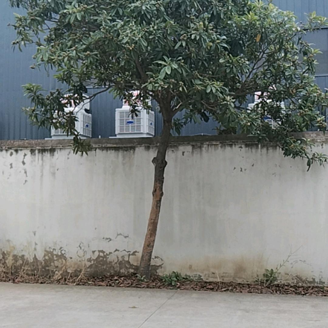 余生