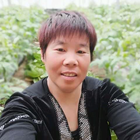 柿柿如意。