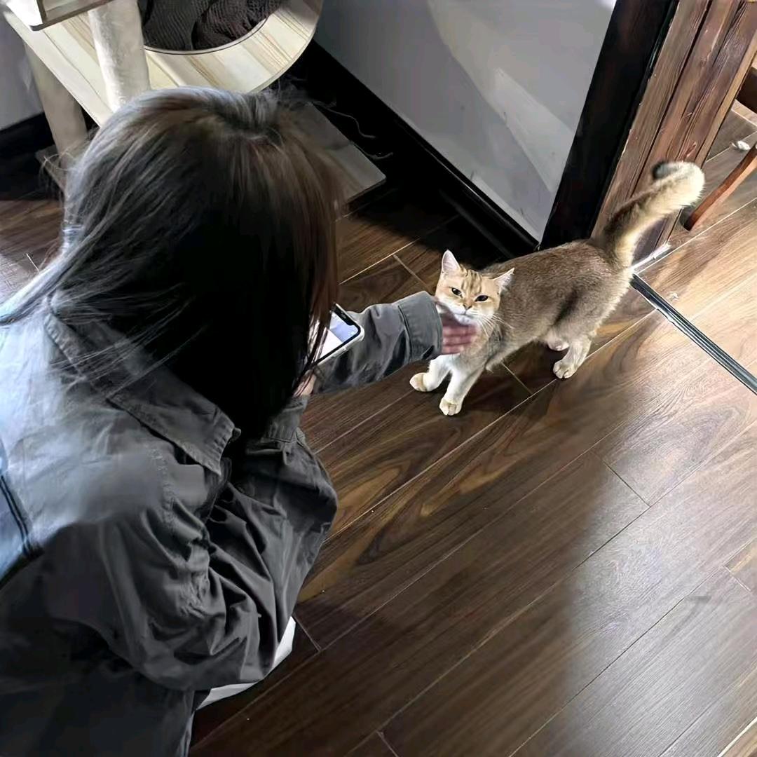 半眠学姐