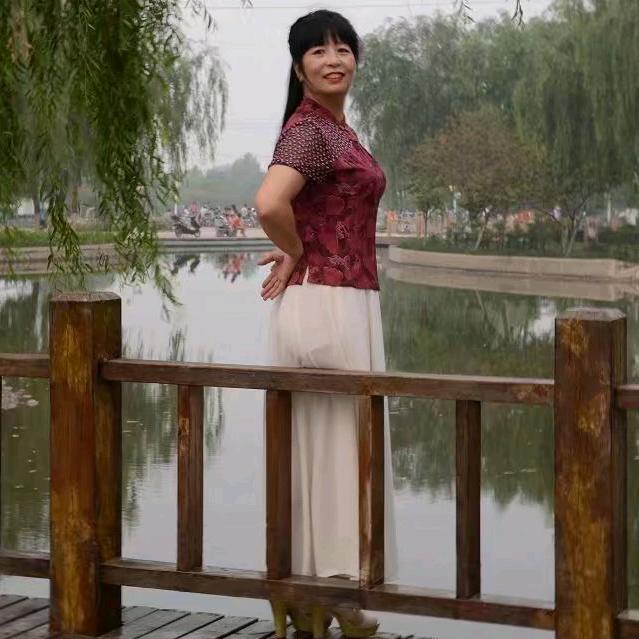 夏羽