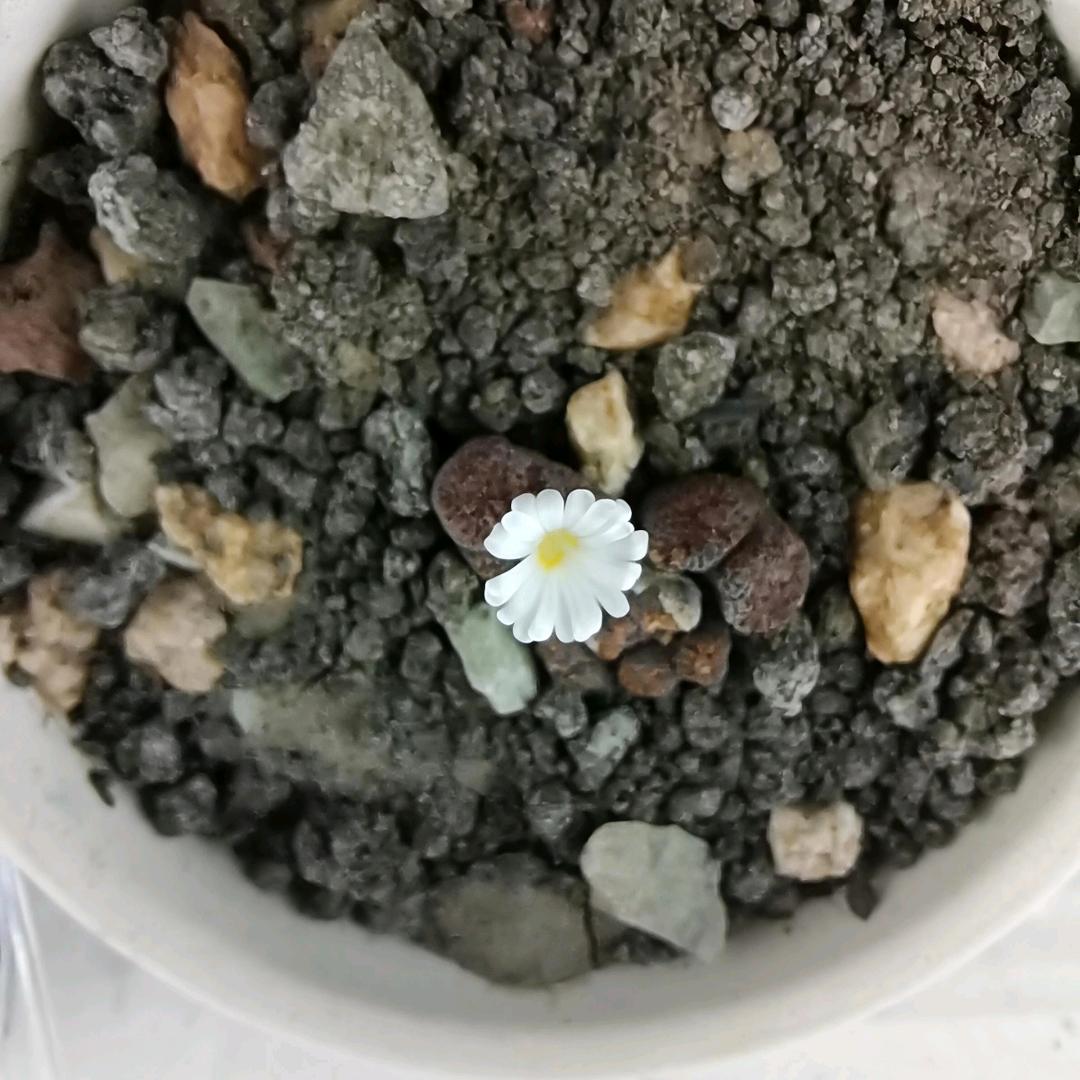 好好学习，天天向上