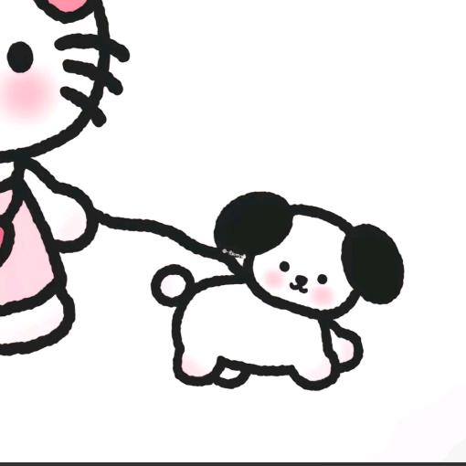 张琳浩.