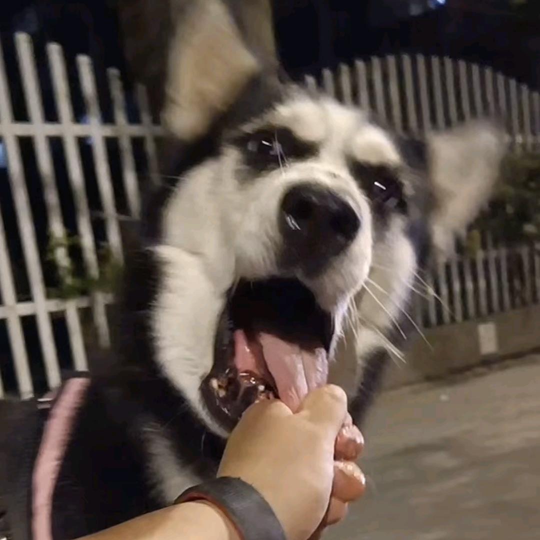 财小逸