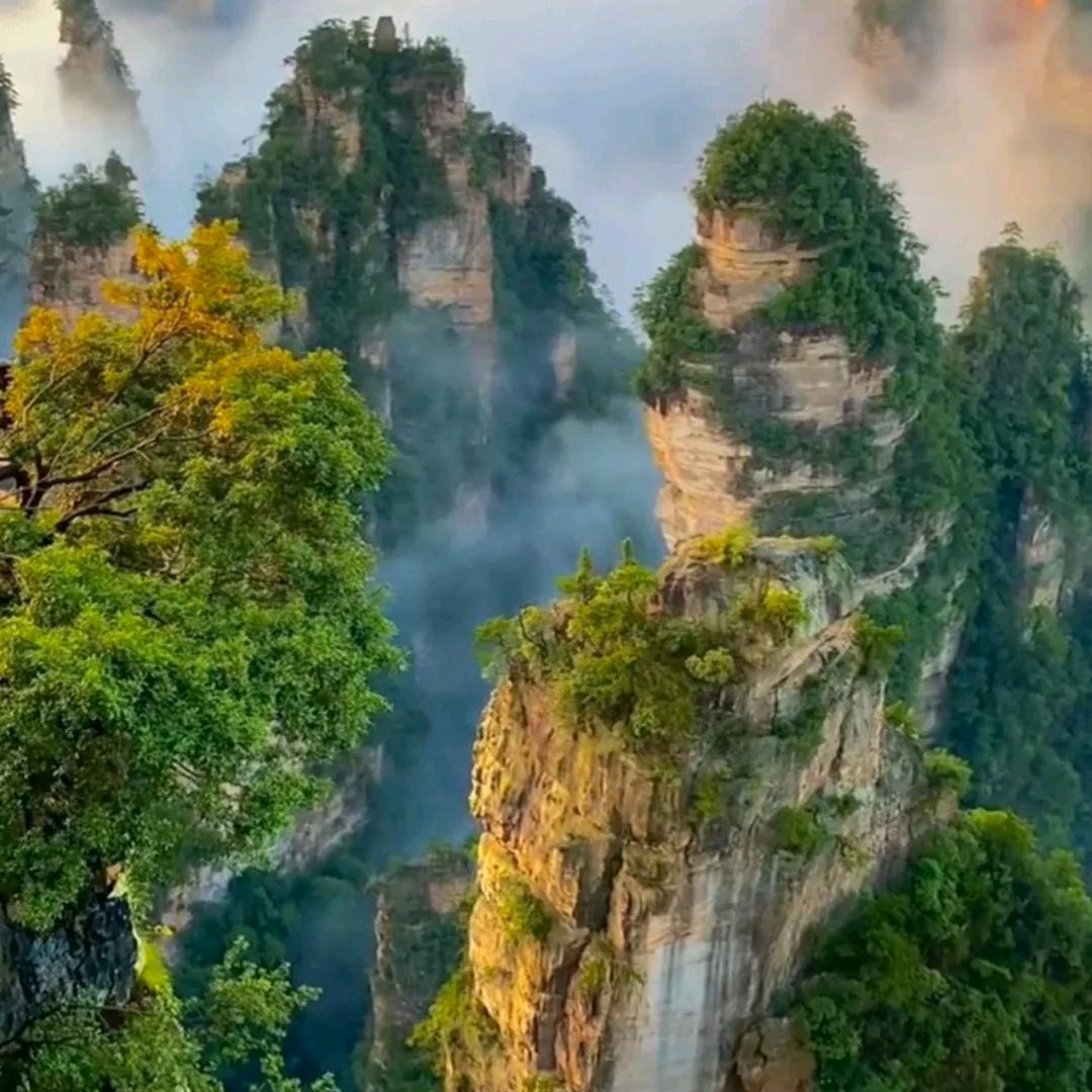 张家界品质自由行(直播专场)