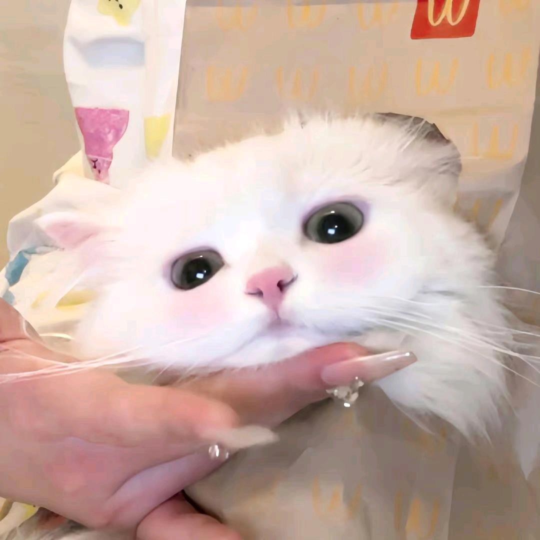 天上下毛毛虫了