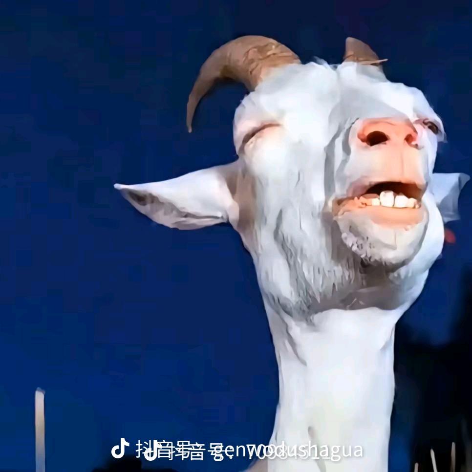 是个猪仔