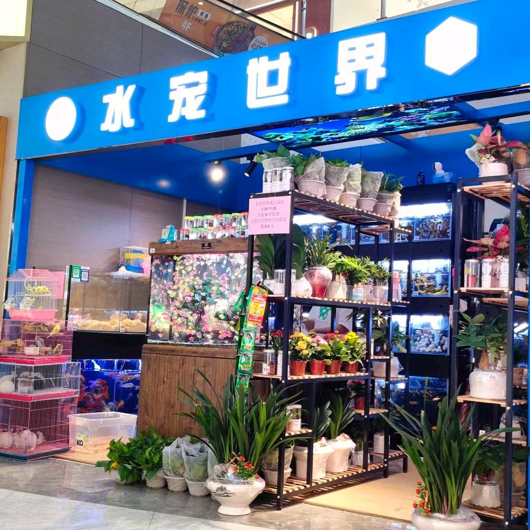 水宠世界（港盛新天地1楼）