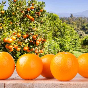 平安中国越来越好