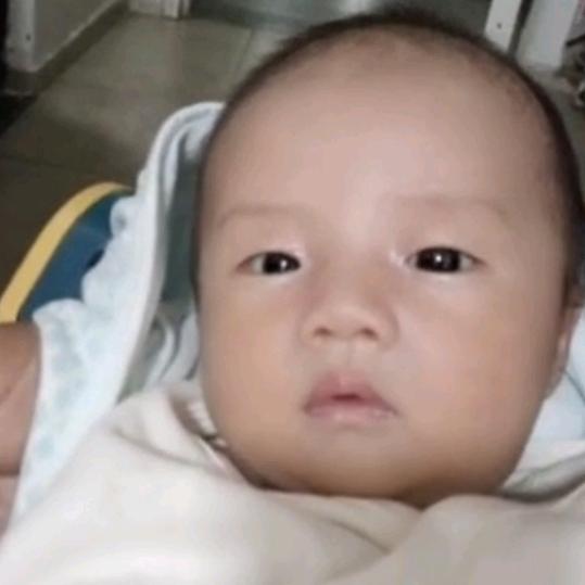 孤雁