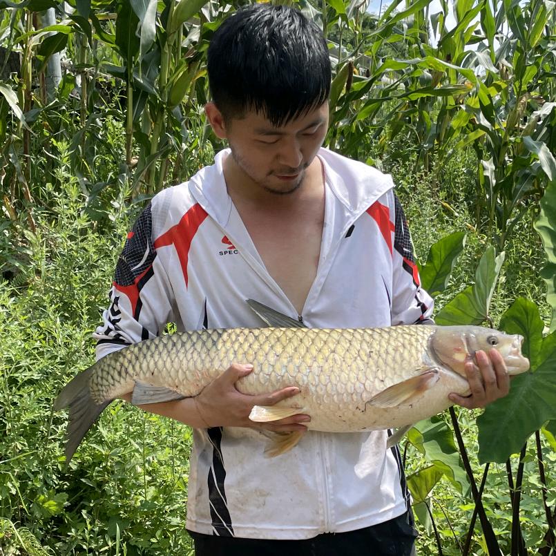 谷麦鑫钓手