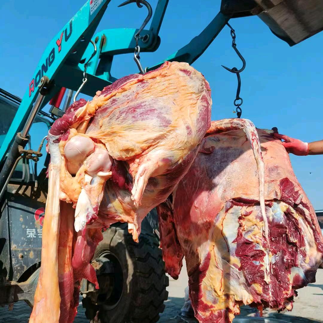 刘涛东胜新鲜小红牛