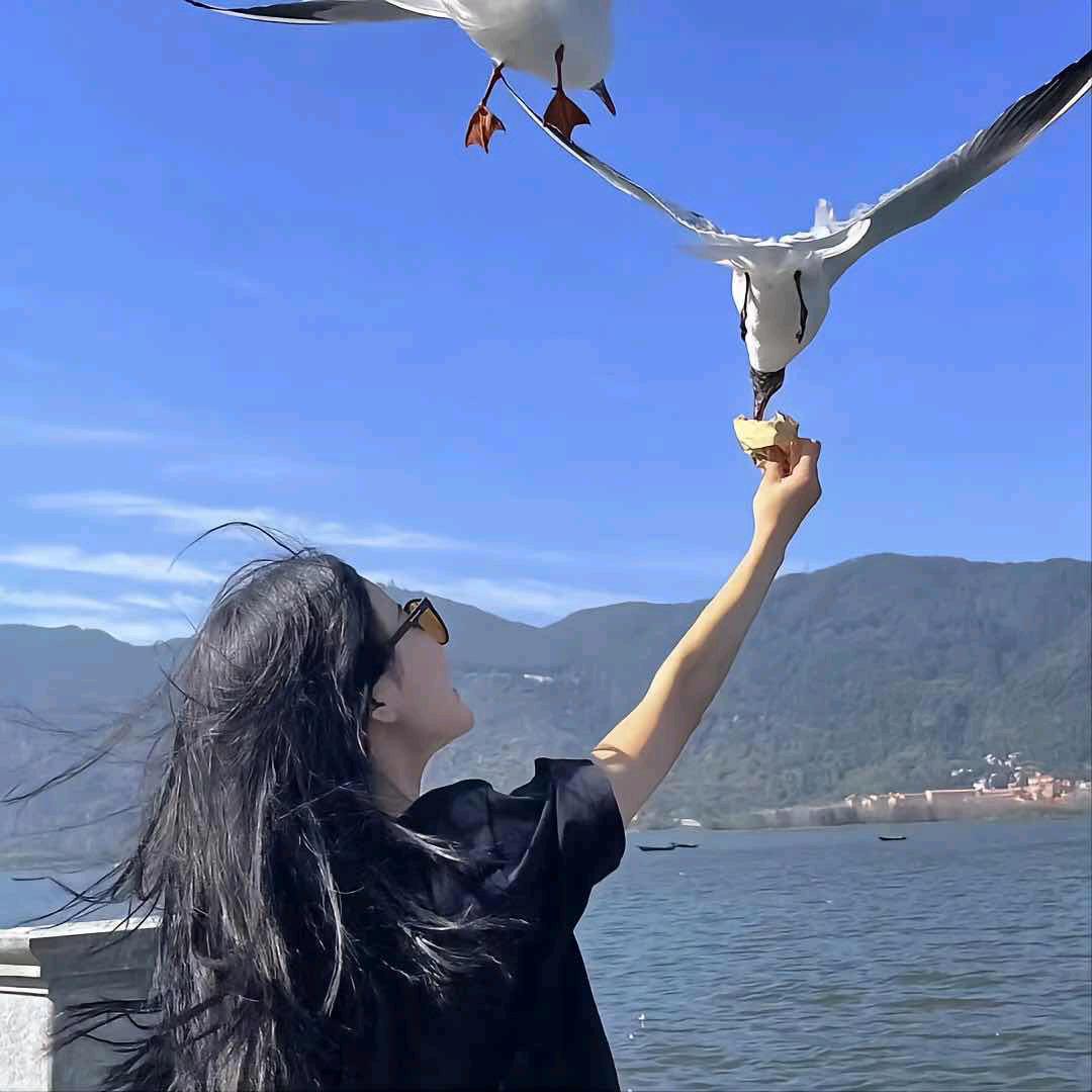茗韵葫芦
