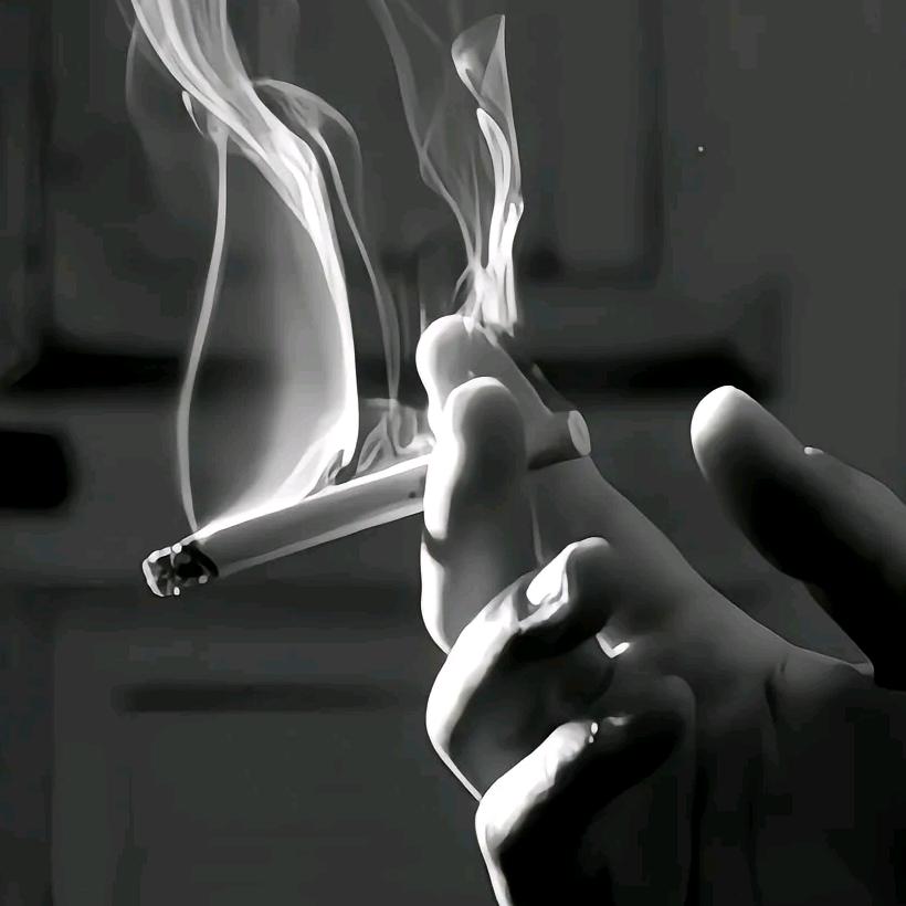 爱拼才会赢