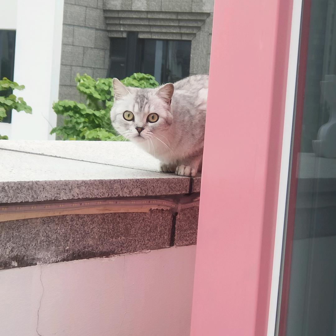 墨白的后宫