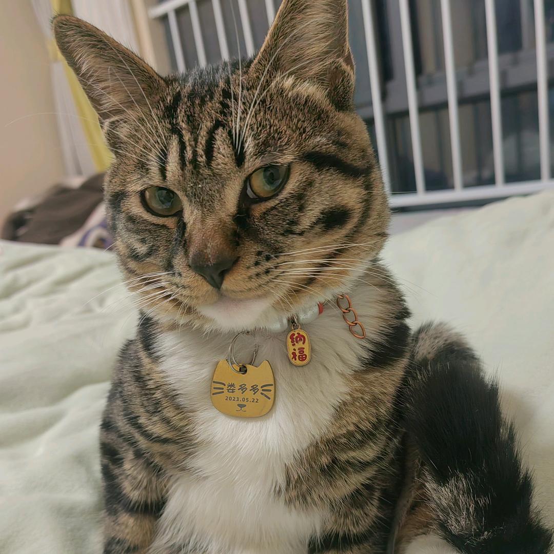 多多呀