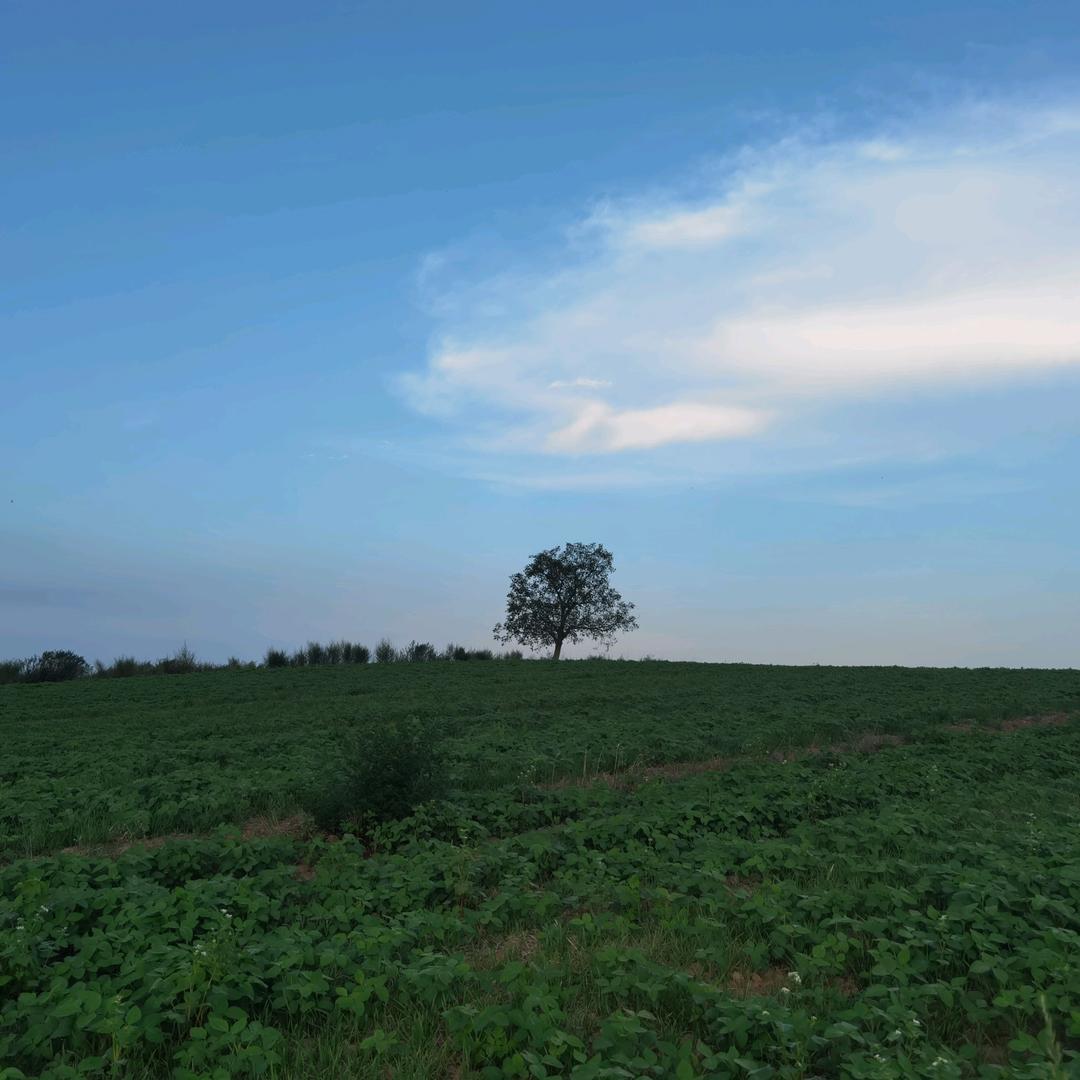 漏网之鱼🏃🚴
