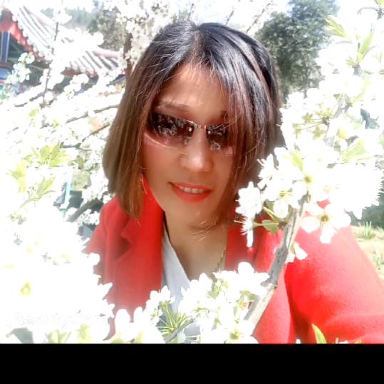 ♥(伤不起)♥
