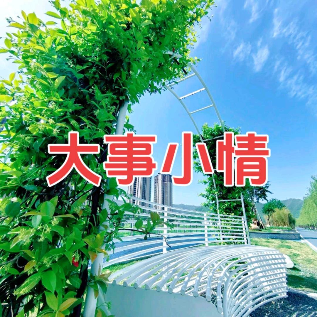 大事小情