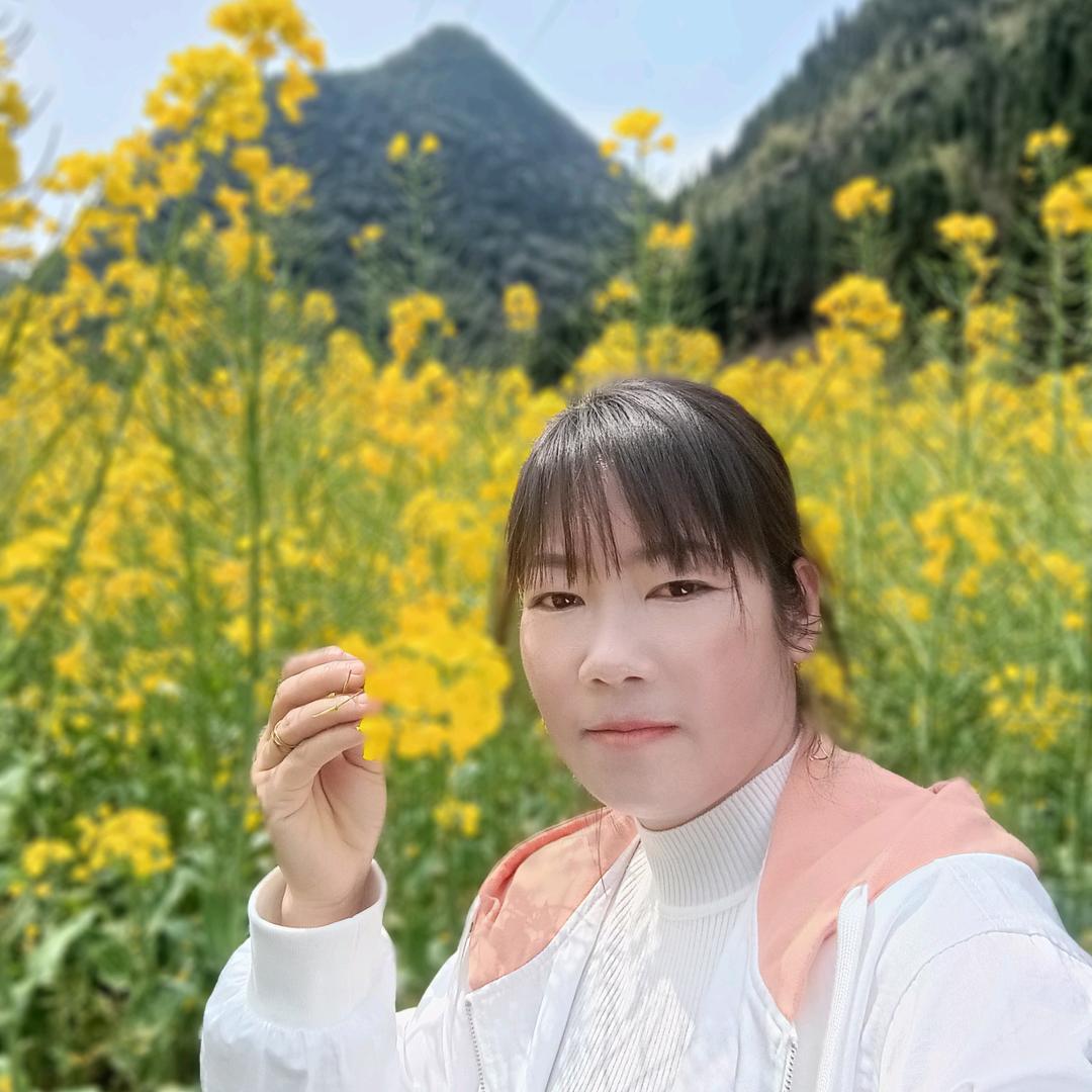 星语心愿
