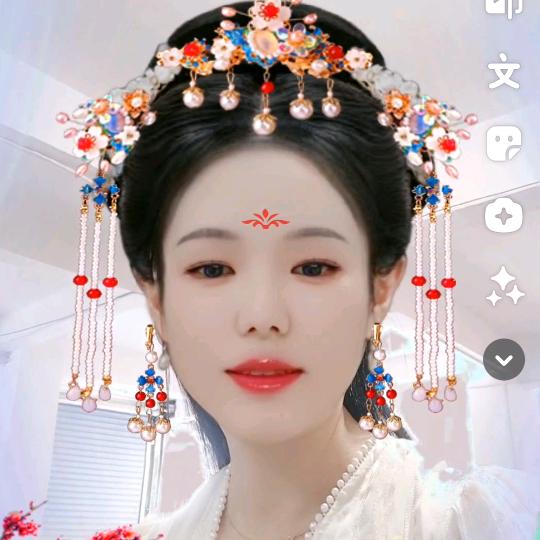 会飞的大鱼