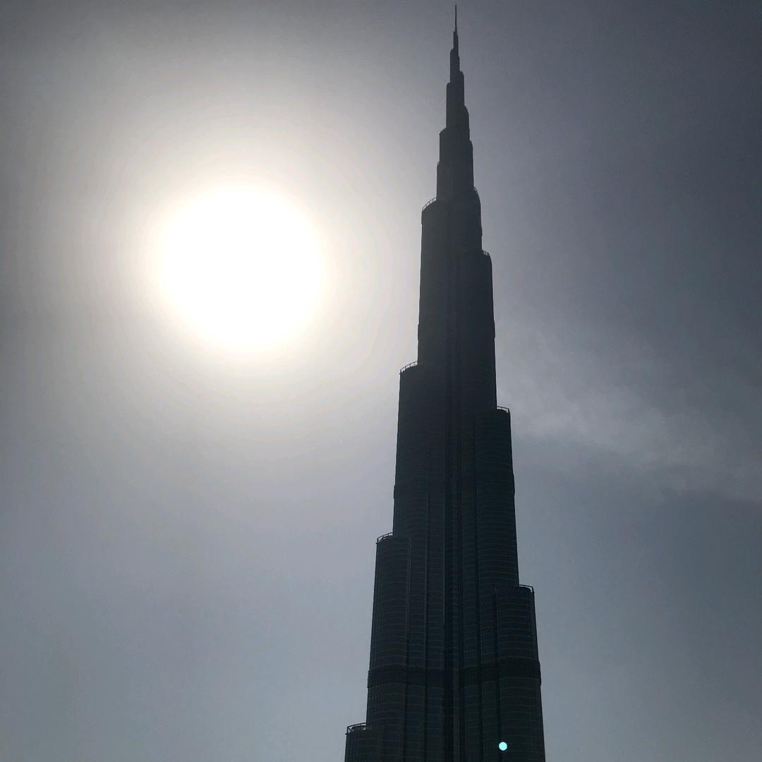 只做观众不上票