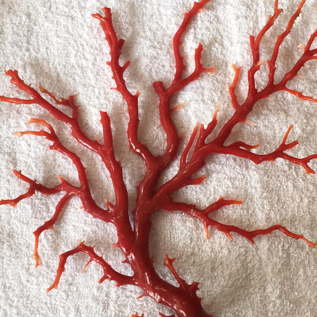 愿余生健康快乐