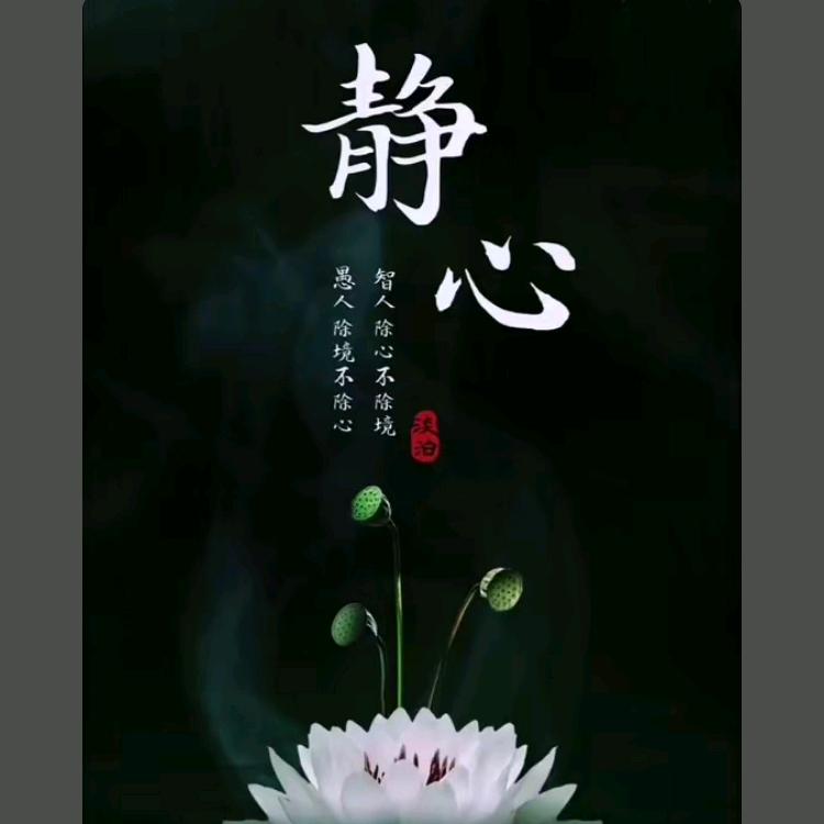 小萌🇨🇳