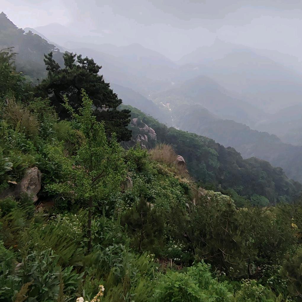 蓝道（文活）军哥