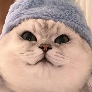 唐小方
