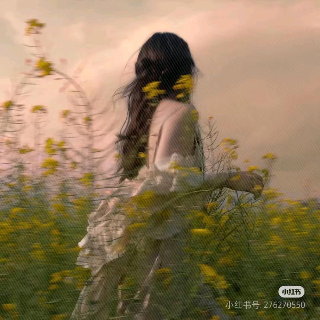 会计李李做财务（泓信财税咨询）