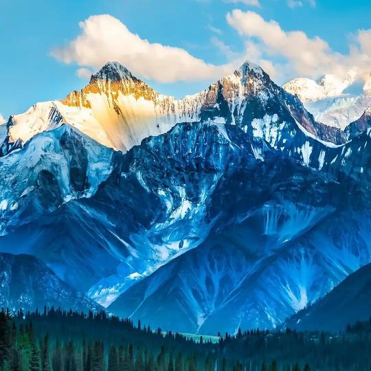 🕊╭❀(* 浙浙杭州💞 小克* )❀