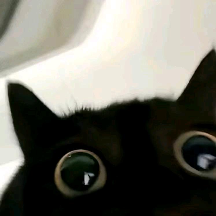 131