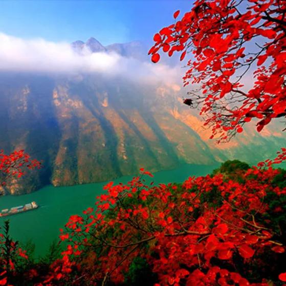 三峡游轮售票中心