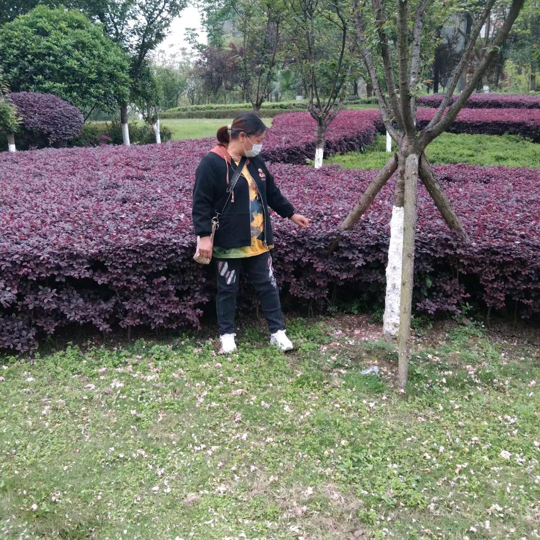 你真我更真