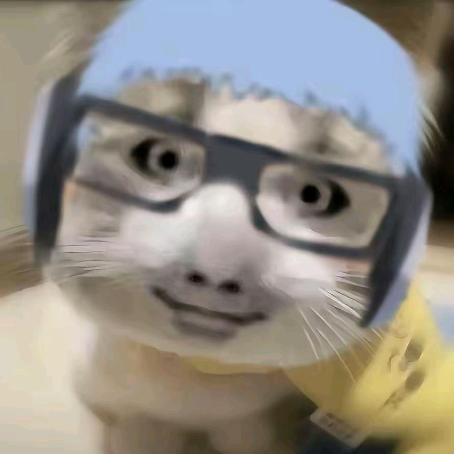 念y优