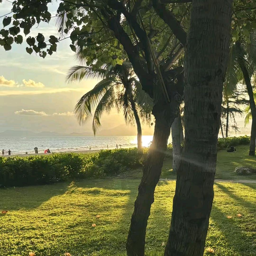 ☪꯭᭄醒*᭄ℯ⃝悟℡