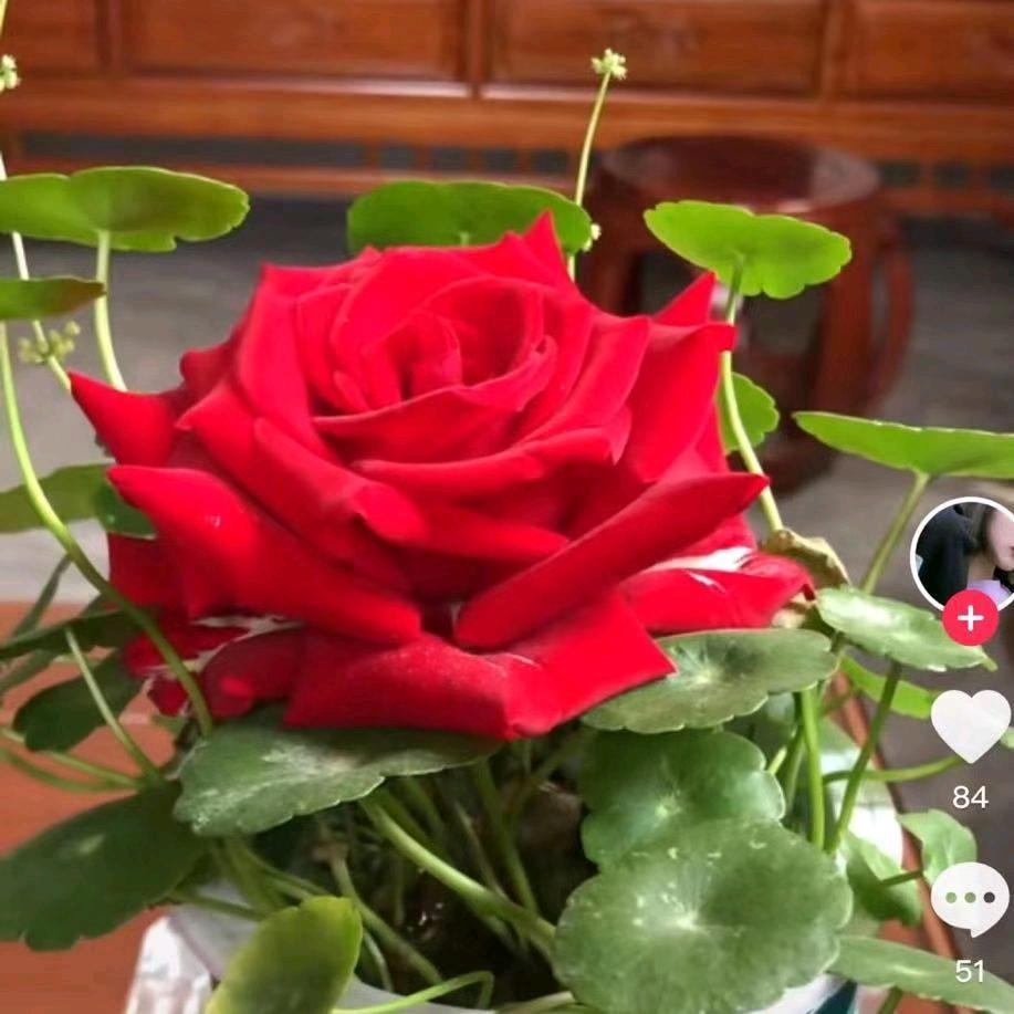 美好的回忆♥️🍓