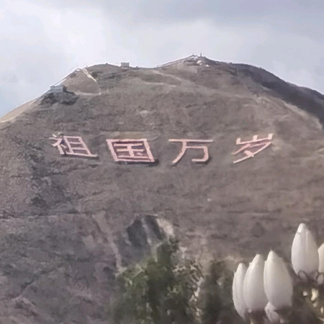 沉默是金～✨¹²⁰⁶