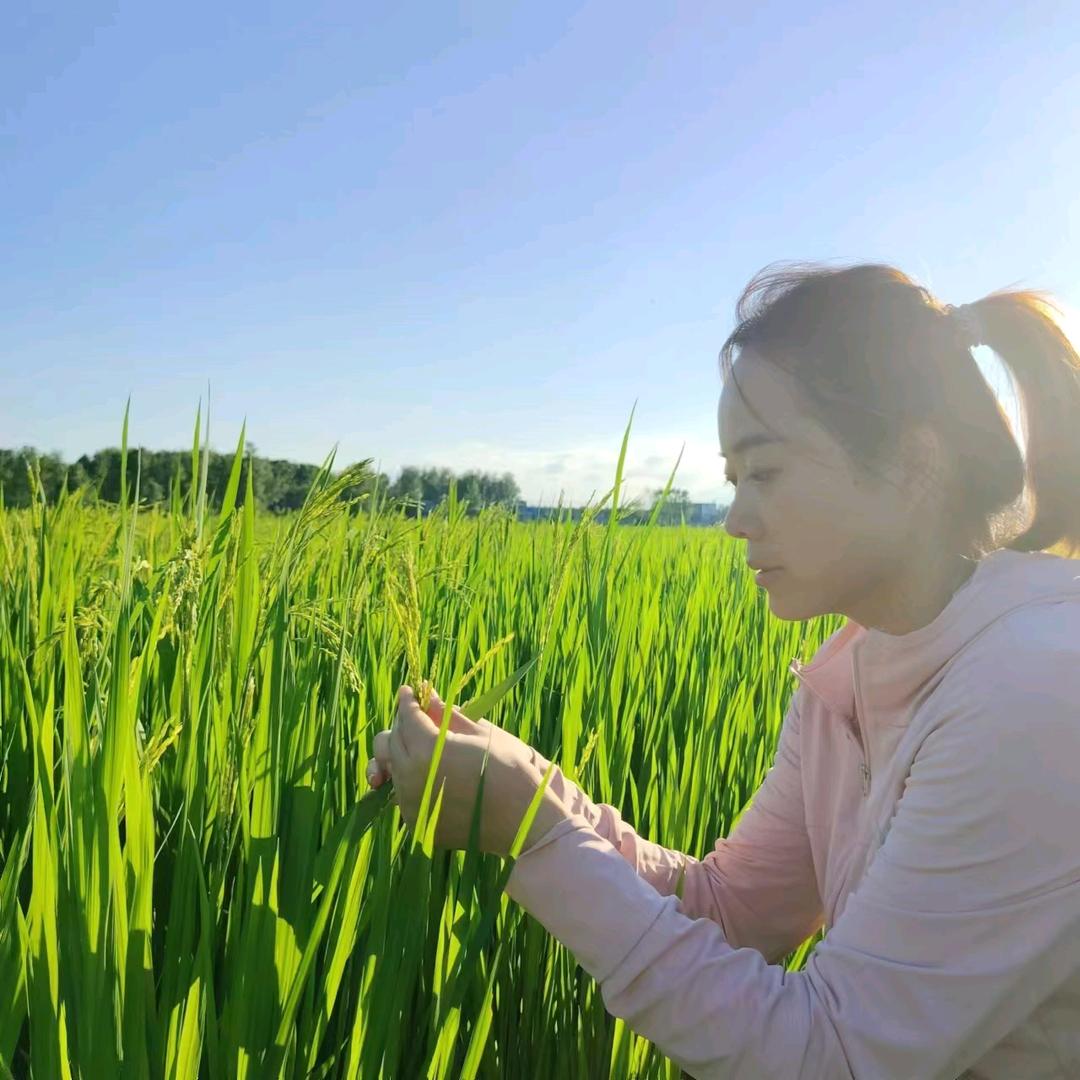 陡沟农资小姐姐