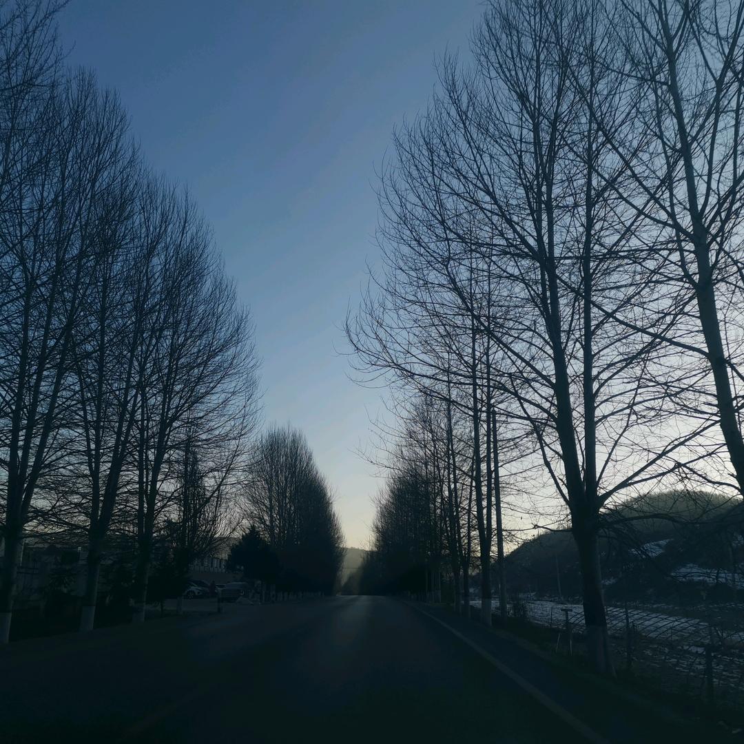 放眼观世界