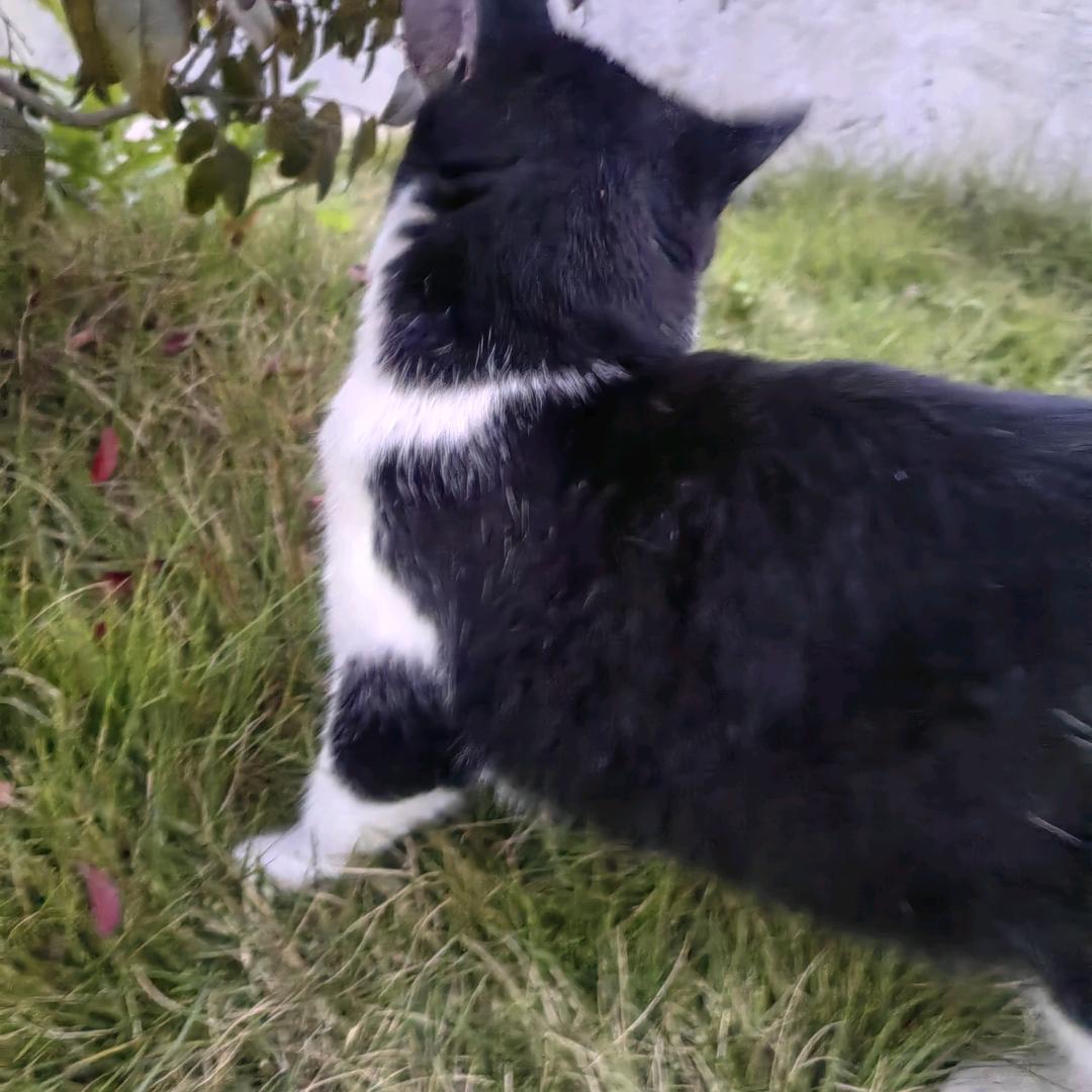 。🤫