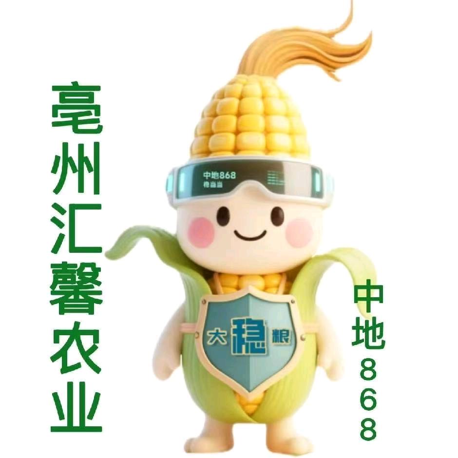 大稳粮中地868赵雪贞