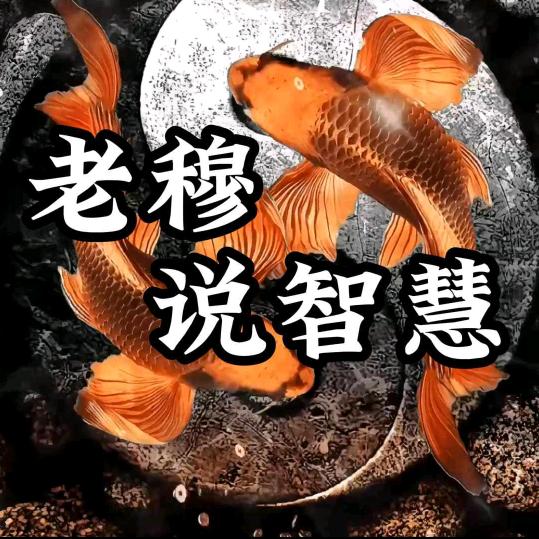 老穆说智慧