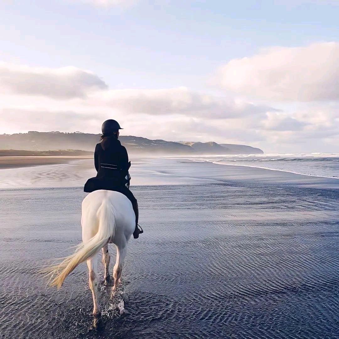 盛夏星河🇵🇸