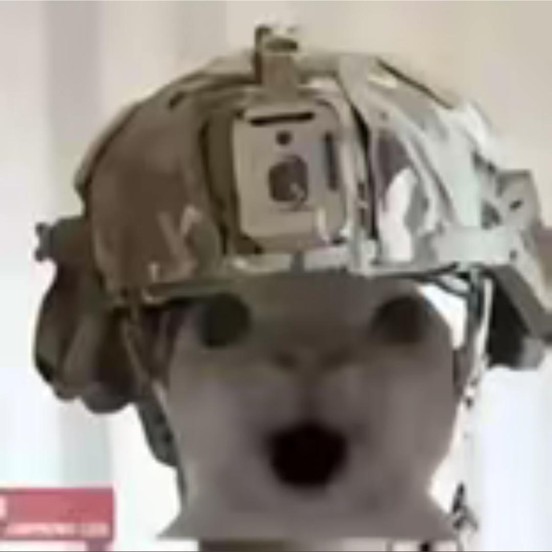 跑刀鼠鼠（跑刀看主页）